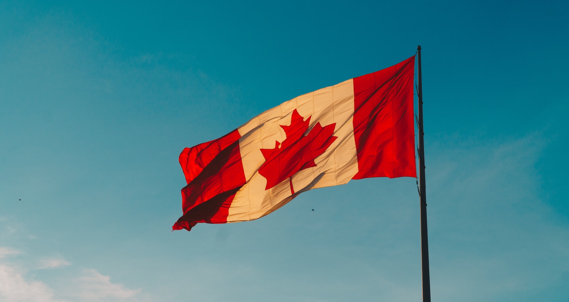 4 things our most successful Canadian institutions have in common
